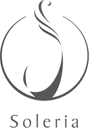 株式会社Soleria